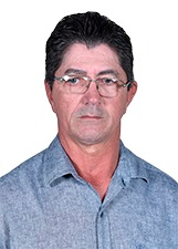 Retrato de NIVALDO MANSANO