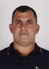 Retrato de JO QUEIROZ