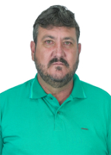 Retrato de DIRCEU BOLSONI